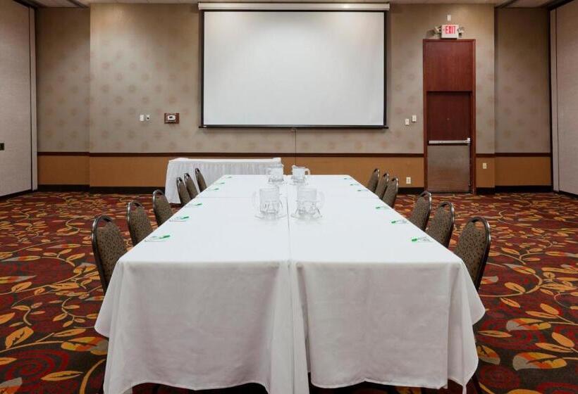 酒店 Holiday Inn Alexandria, An Ihg