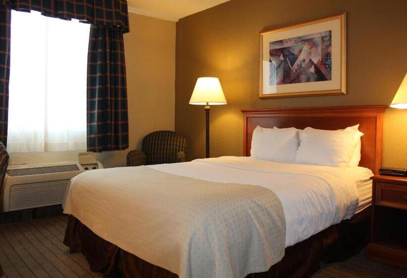 酒店 Holiday Inn Alexandria, An Ihg