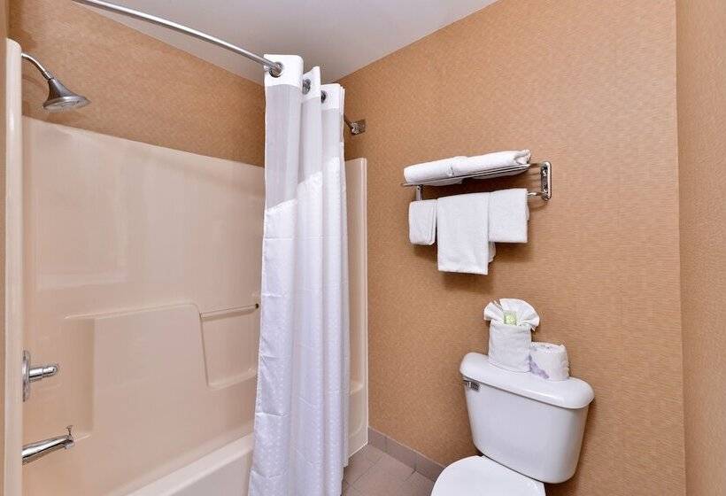 Holiday Inn Express Hotel & Suites Cincinnati Blue Ash, An Ihg