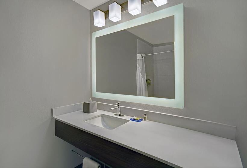 فندق Holiday Inn Express Adrian, An Ihg