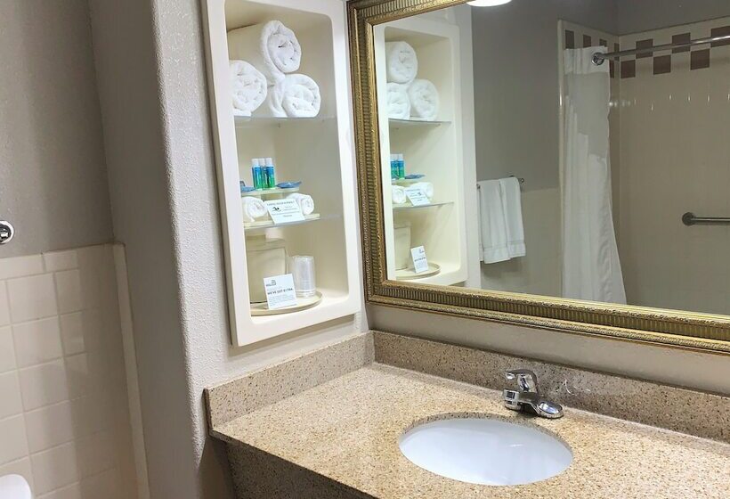 Holiday Inn Express Hotel And Suites Alice, An Ihg