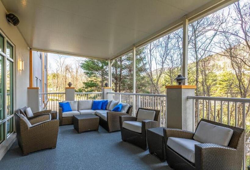 هتل Holiday Inn Express & Suites Asheville Downtown, An Ihg