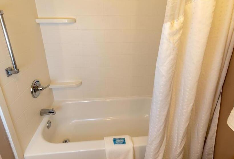 فندق Holiday Inn Express Birmingham Irondale East, An Ihg