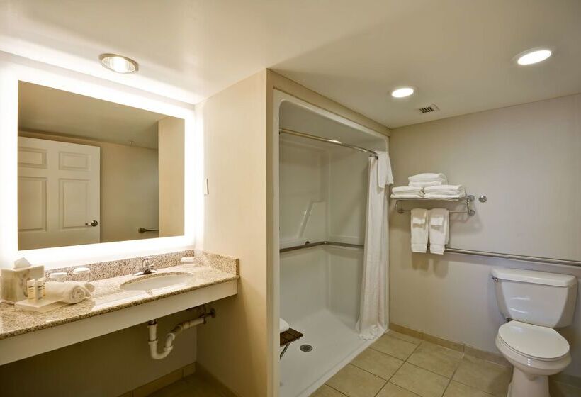 酒店 Homewood Suites By Hilton Dulles Int L Airport