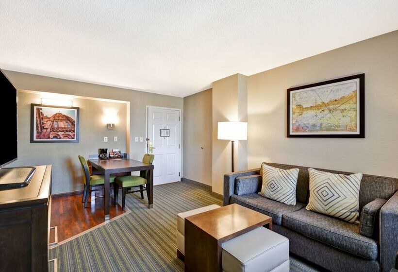 酒店 Homewood Suites By Hilton Dulles Int L Airport
