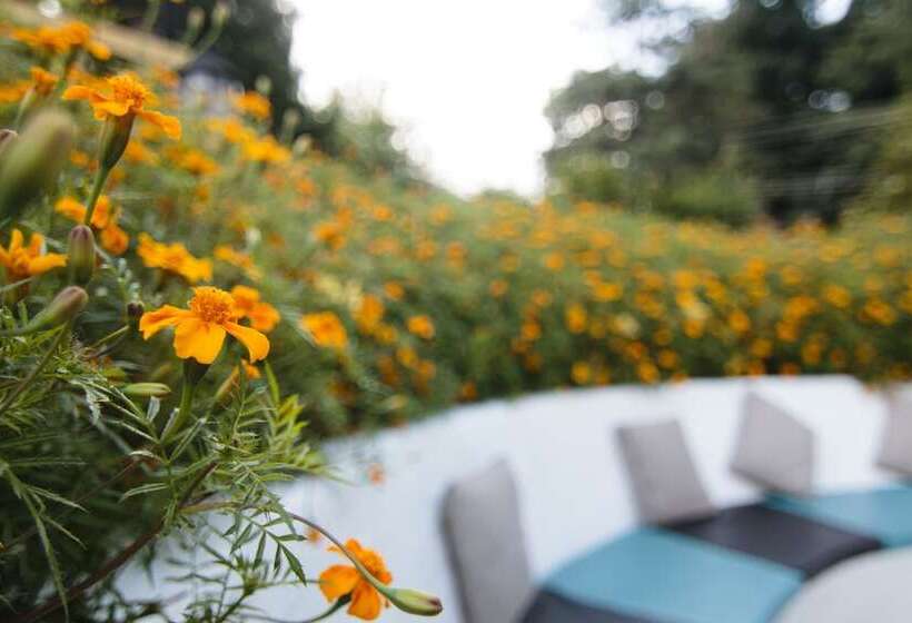 فندق Johnson Lodge & Spa