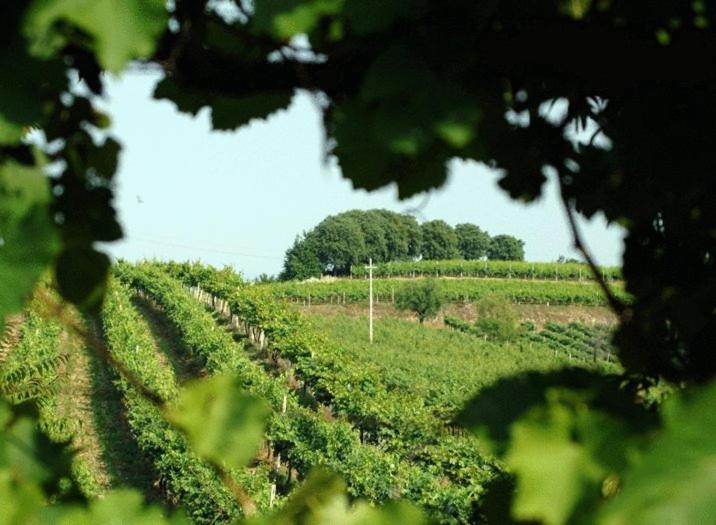 酒店 La Spia D'italia