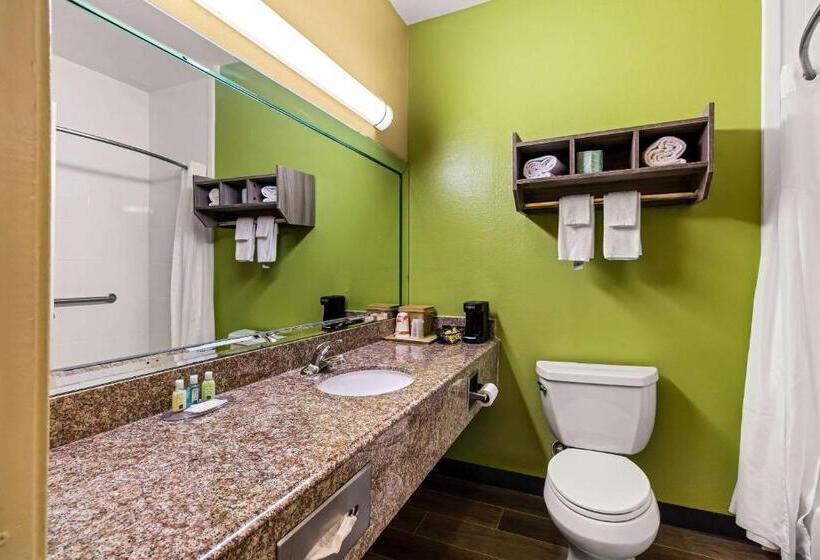 酒店 Quality Inn Bay City Tx