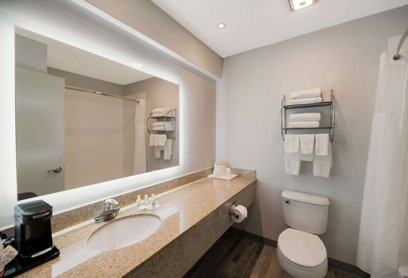 酒店 Quality Inn & Suites