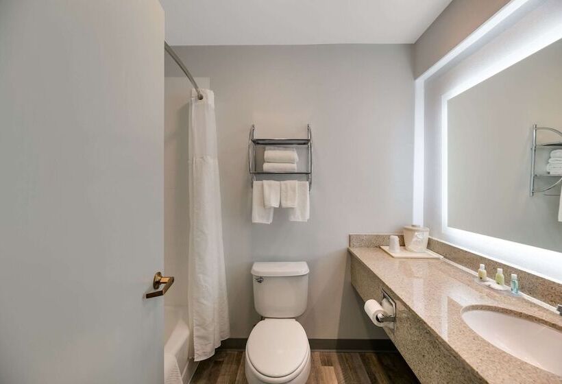 酒店 Quality Inn & Suites