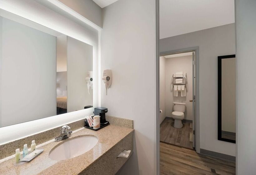 酒店 Quality Inn & Suites