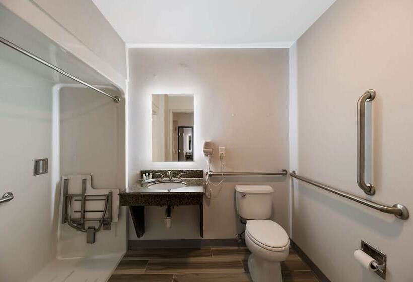 酒店 Quality Inn & Suites