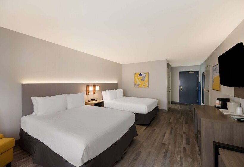 酒店 Quality Inn & Suites