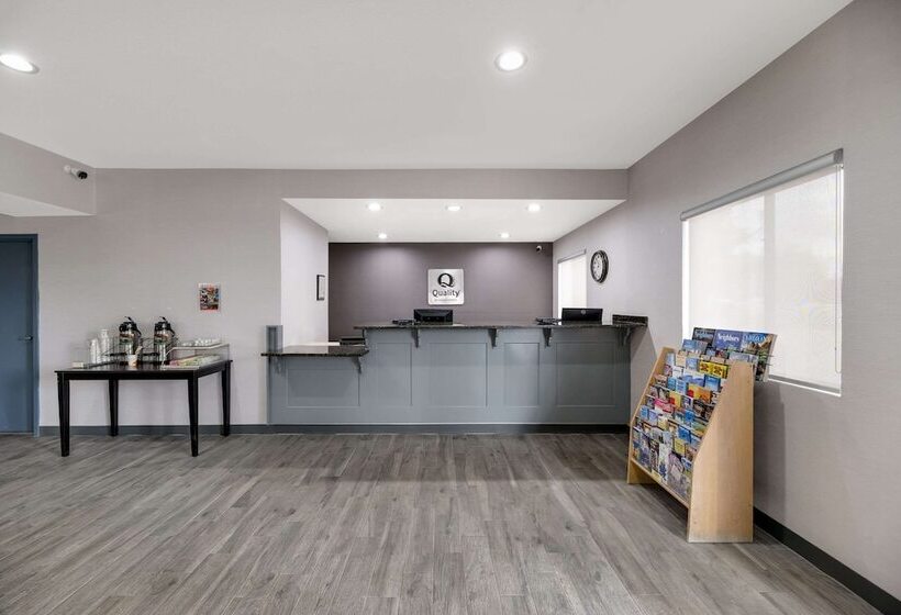 酒店 Quality Inn & Suites