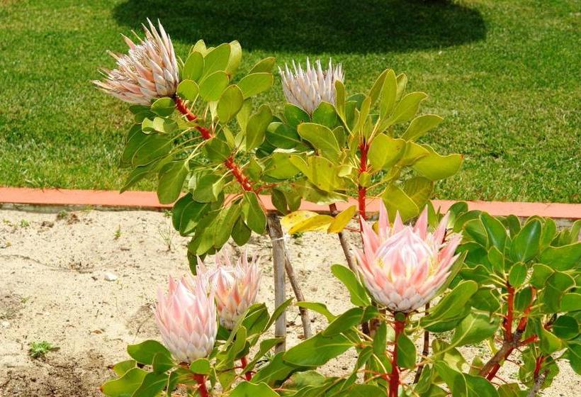 Отель Quinta Da Boavista Duna Parque Group