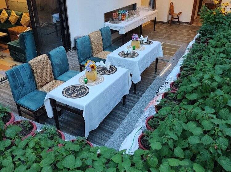 호텔 Sagrika Resort Dalhousie