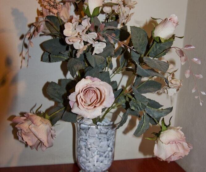 Отель Sunrock Guesthouse