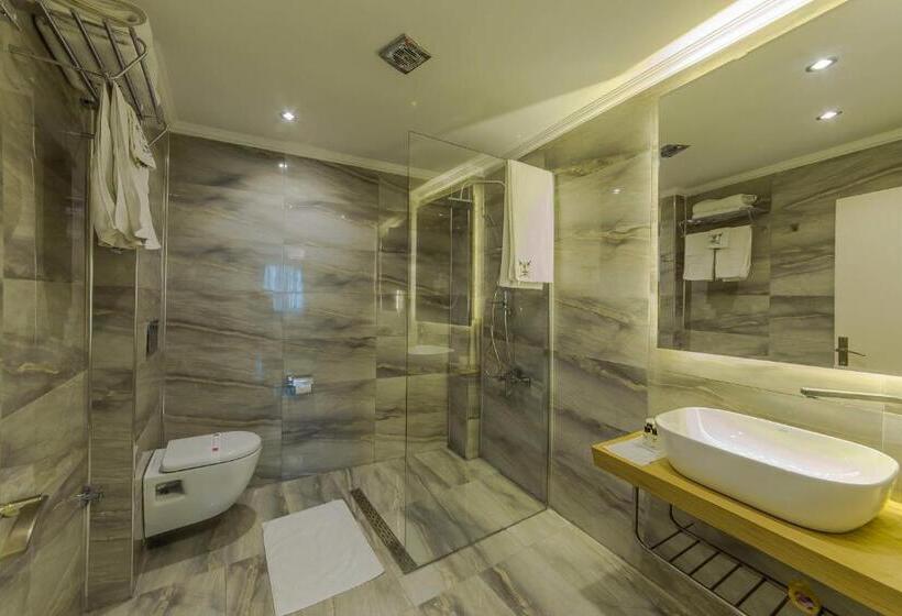 هتل The Constantine