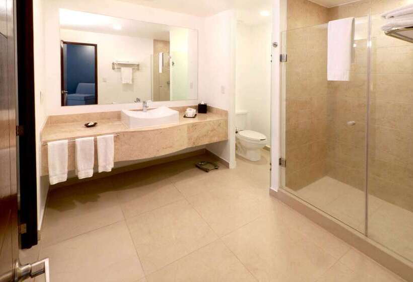 فندق Wyndham Garden Guadalajara Acueducto