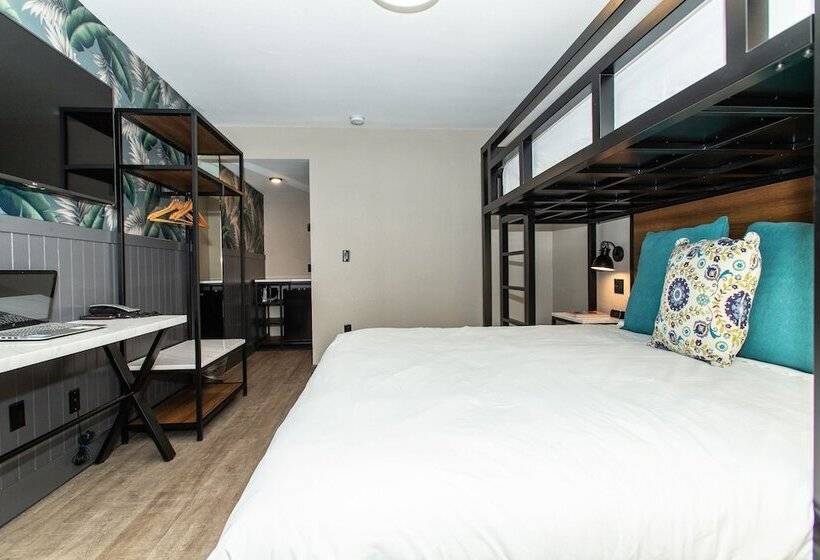 Magnolia Tree Hotel Maingate/anaheim Convention Center