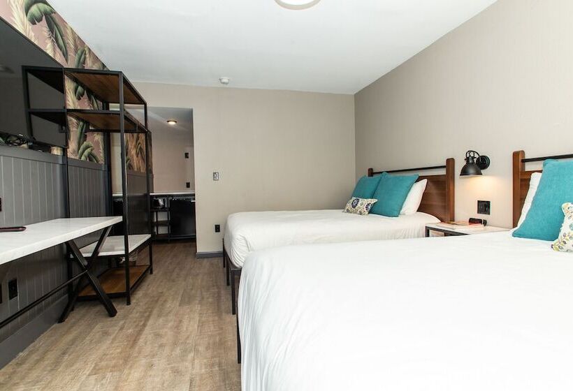 Magnolia Tree Hotel Maingate/anaheim Convention Center