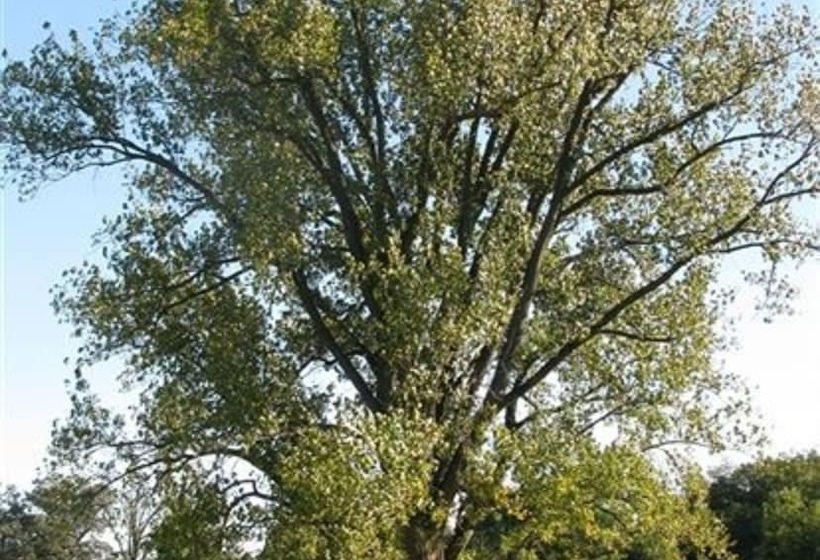 Timber Creek Bed & Breakfast