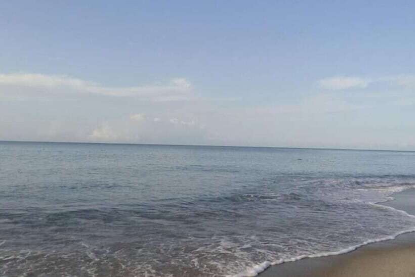 호텔 Mama Bella Hostel