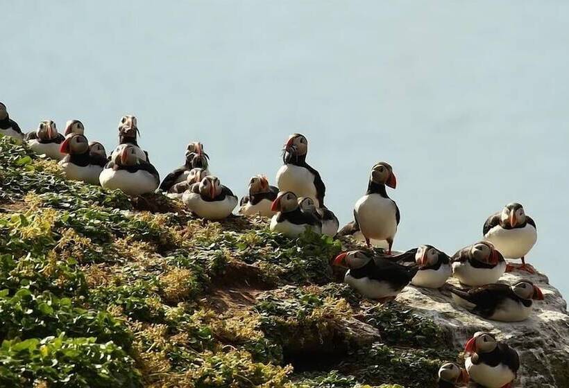 هتل Hestasport Cottages