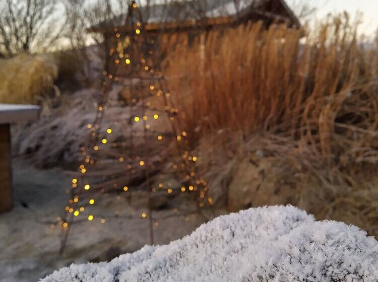 هتل Hestasport Cottages