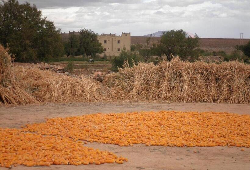 הוסטל Auberge Amellagou