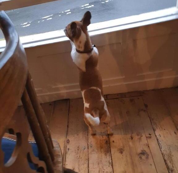 호스텔 The George At Ashley