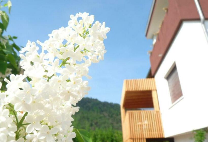 B&b Casa Sul Lago  Appartamenti