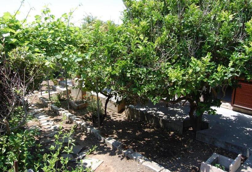 تختخواب و صبحانه Andrea E Valentina