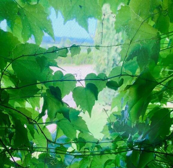 تختخواب و صبحانه Locanda Di Santantimo