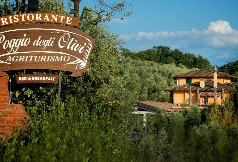 تختخواب و صبحانه Poggio Degli Olivi