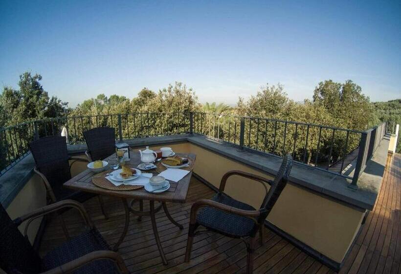 تختخواب و صبحانه Poggio Degli Olivi