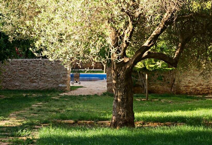 住宿加早餐  Ryad De Vignes  Le Val D Argan