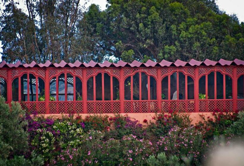 住宿加早餐  Ryad De Vignes  Le Val D Argan