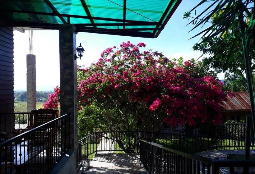 住宿加早餐  Villa Del Carmen Haven Bohol