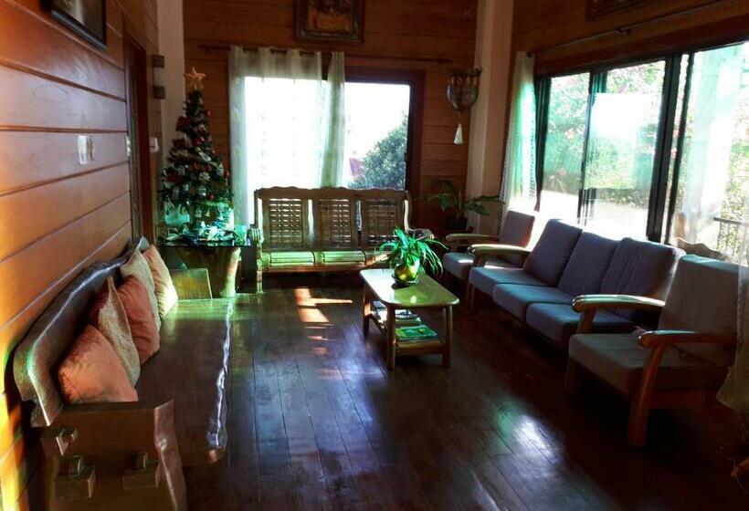 住宿加早餐  Villa Del Carmen Haven Bohol