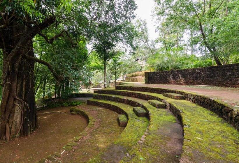 Cherilyn Monta Resort