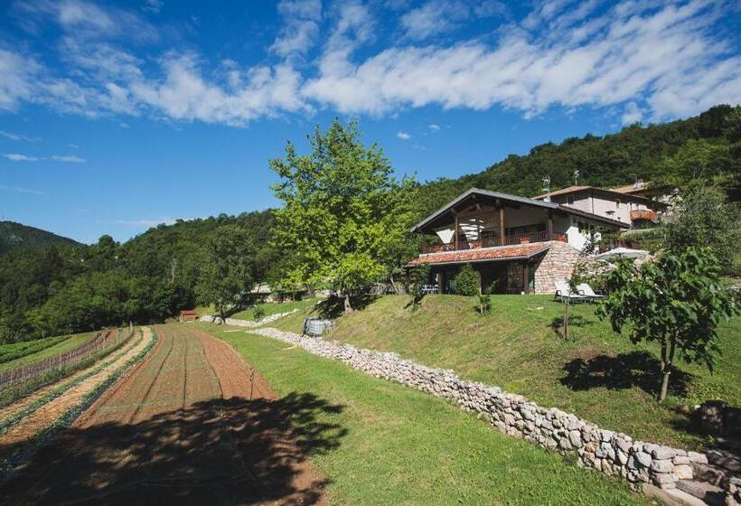 Coste Del Gaggio   Country House B&b   Garda Trentino