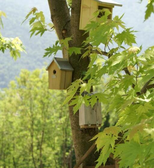 Coste Del Gaggio   Country House B&b   Garda Trentino