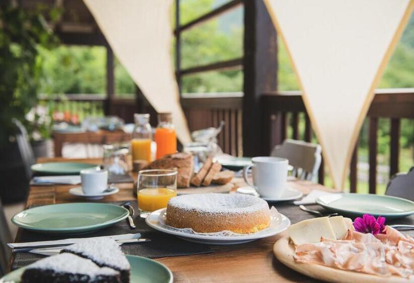 Coste Del Gaggio   Country House B&b   Garda Trentino