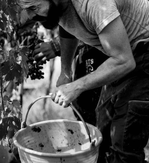 Filodivino Wine Resort & Spa