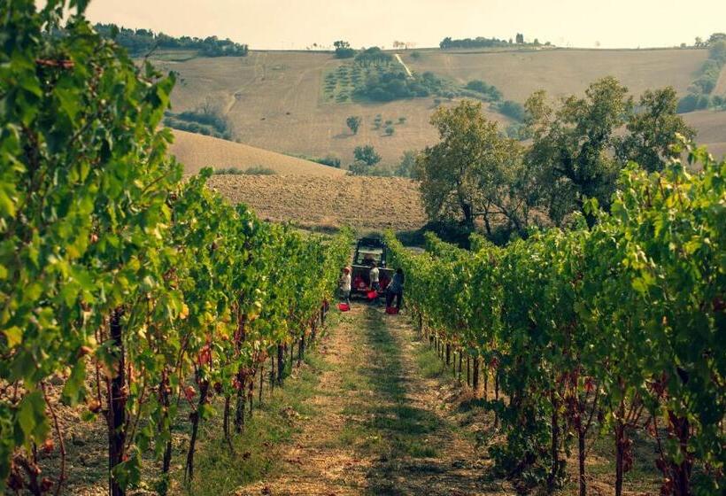 Filodivino Wine Resort & Spa