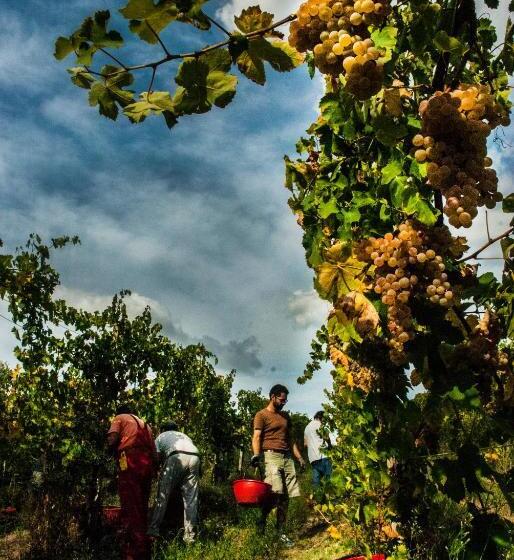 Filodivino Wine Resort & Spa