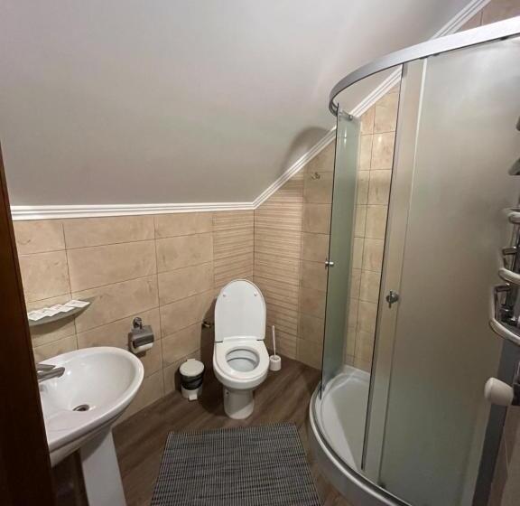 Отель поляна купіль