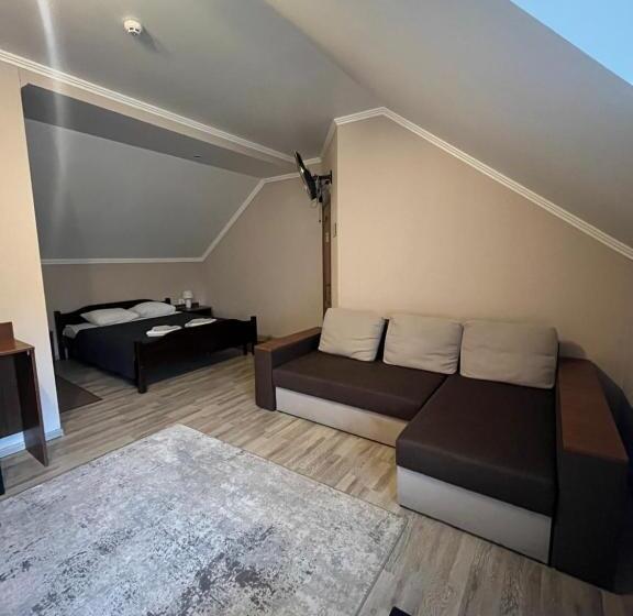 Отель поляна купіль