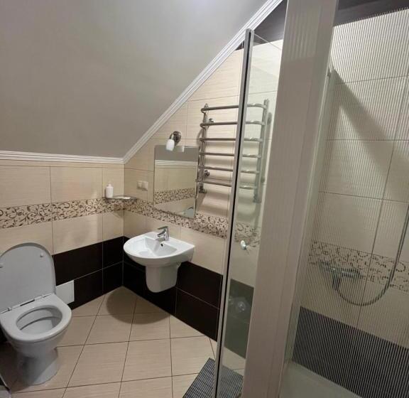 Отель поляна купіль